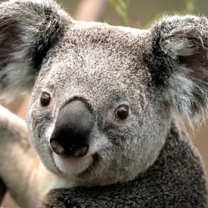 Meet your Posher, Maria carolina